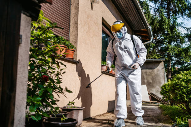 Best Best Pest Control Companies  in Sandstone, MN