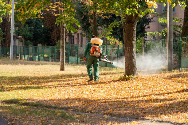 Best Best Pest Control Companies  in Sandstone, MN